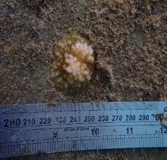 Description: C:\Users\Admin\Documents\Ảnh Đầm Báy 2 tháng 11 năm 2023\PB020825.JPG